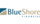 BlueShore Financial